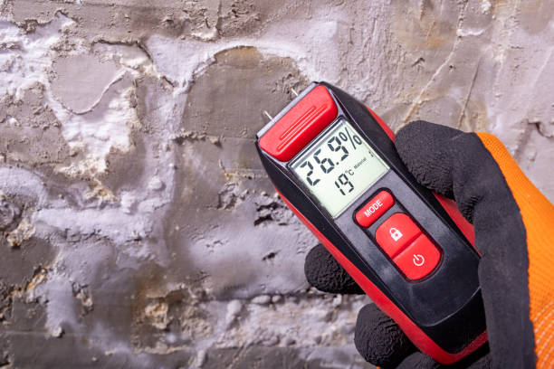 Best Kitchen Mold Remediation in Byesville, OH